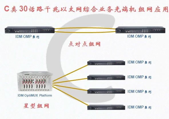 Gigabit Optical Terminal Series