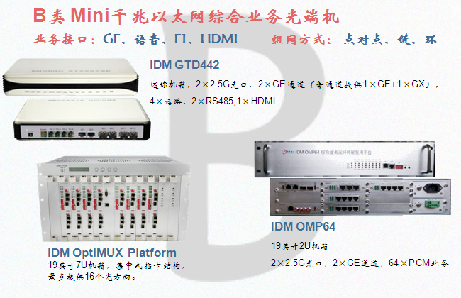 Type B Mini Gigabit Ethernet Integrated Service Optical Terminal Networking Application