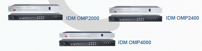 Type C 30-channel Gigabit Ethernet Integrated Service Optical Terminal Networking Application