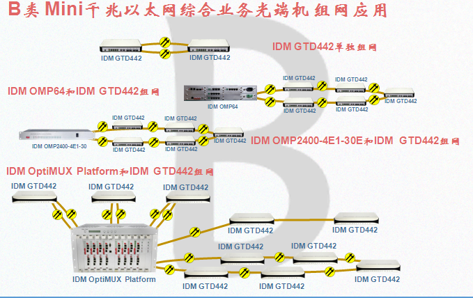 Type C 30-channel Gigabit Ethernet Integrated Service Optical Terminal