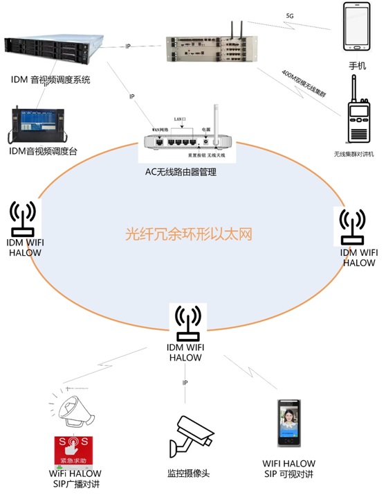 4. Extended Application of the Solution