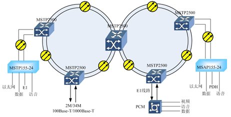 MSTP2500