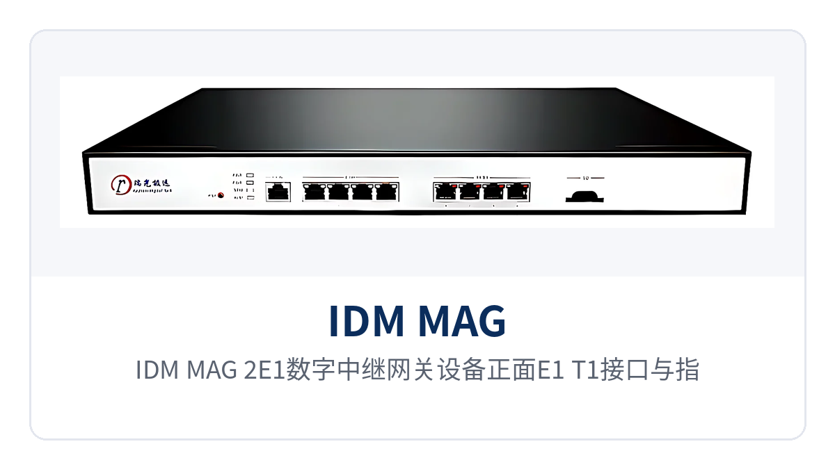 Figure 1: Close-up of the E1/T1 interfaces and indicator LEDs on the front panel of the IDM MAG-2E1 digital trunk gateway