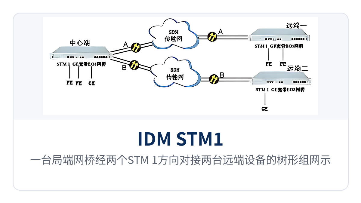 Figure 4: Tree networking diagram of one central office network bridge interfacing with two remote devices through two STM-1 directions