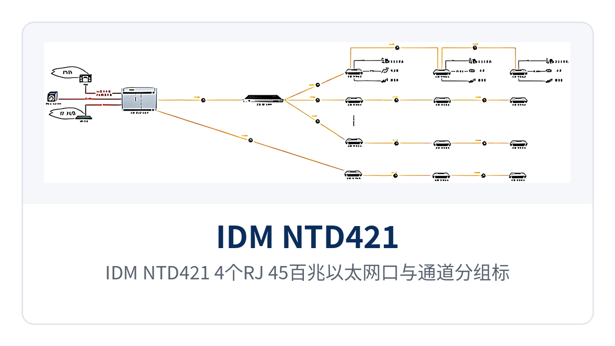 图5：IDM NTD421 4个RJ-45百兆以太网口与通道分组标识